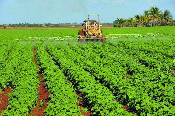 En Horquita están en uso el 90 % de sus tierras. Foto del autor