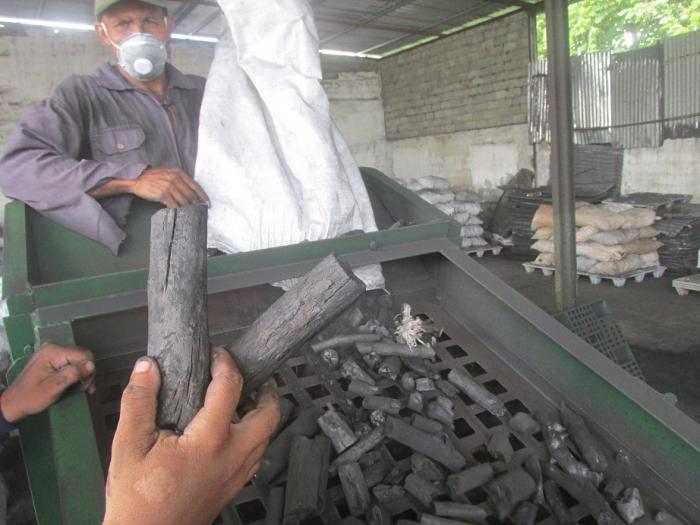 Unas 6 000 toneladas de carbón esperan en almacenes la reapertura de la exportación. Foto del autor 