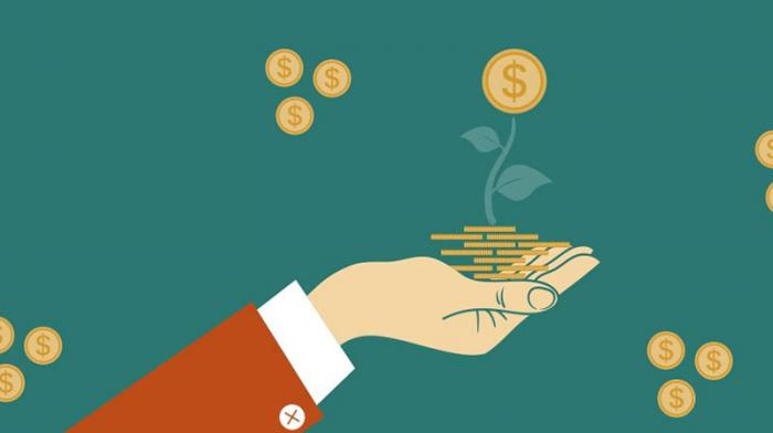 Aprueban norma contable para registrar gastos e ingresos ambientales 