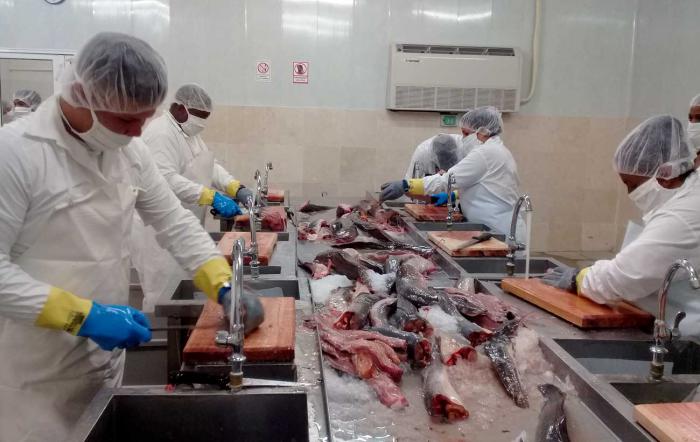 La industria asumirá en el 2020 la elaboración de 840 toneladas de una amplia gama de productos.