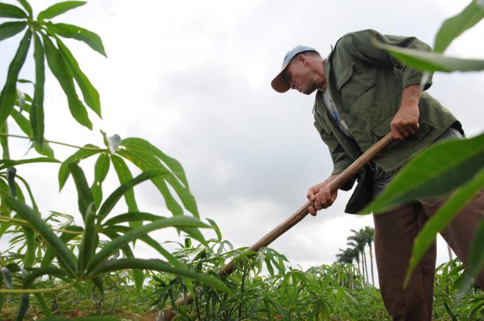 Tener en cuenta la experiencia práctica de campesinos, innovadores y extensionistas agrícolas, es muy importante para desentrañar cómo podemos convertir las excepciones en reglas del buen hacer.