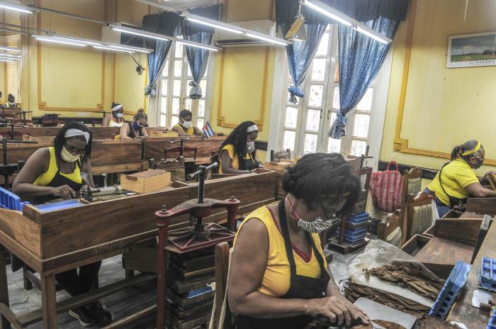 Cohiba,Empresa de tabacos torcidos :El Laguito.La producción  continua en la fabrica tomando las medidas de prevencion
