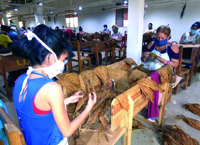 Cuando en el mundo las mujeres han sufrido los mayores impactos de la COVID-19 en materia laboral, Cuba las protege especialmente.