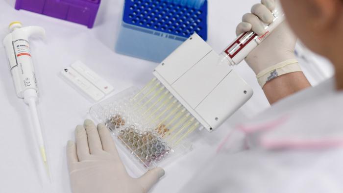 Identifican 28 anticuerpos capaces de neutralizar al coronavirus 