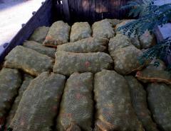 En los hechos detectados, se combinan la falta de control, la falsificación de documentos, entre otras irregularidades, para desviar productos agrícolas y lucrar con ellos. 