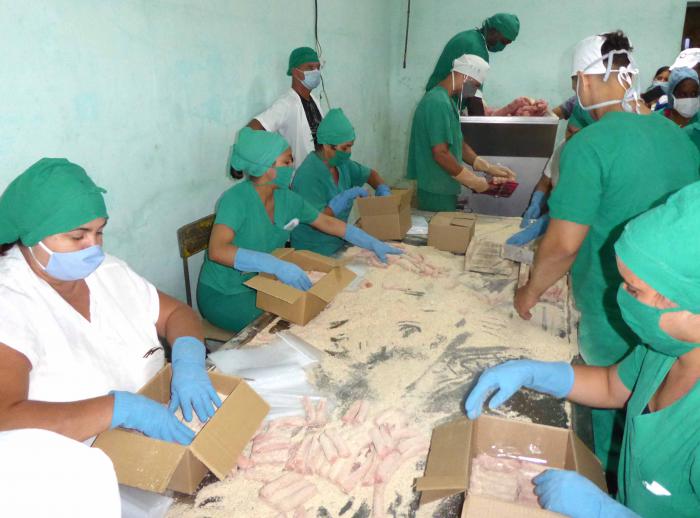 Los trabajadores de la Empacadora Raúl Cepero Bonilla sobresalen en Camagüey por la búsqueda de alternativas para mejorar la alimentación de pueblo. 