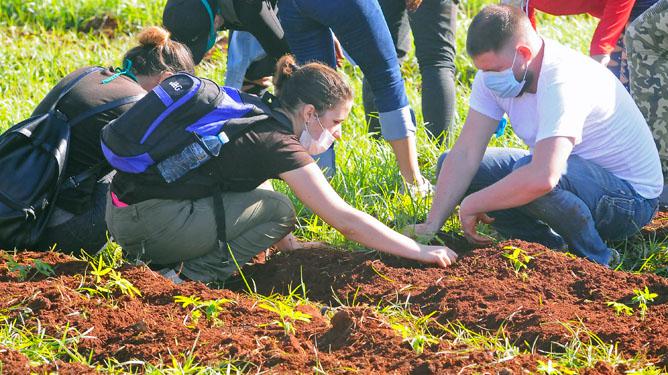 La prioridad del país en este momento está en la producción de alimentos, por ser el problema más urgente a resolver, destacó Gil Fernández. 