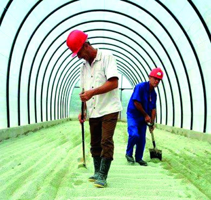 Planta inaugurada el pasado 11 de noviembre para  producir los fertilizantes y sustratos Nerea, destinados a la agricultura, creados en el imre. 
Foto: Cortesía del IMRE