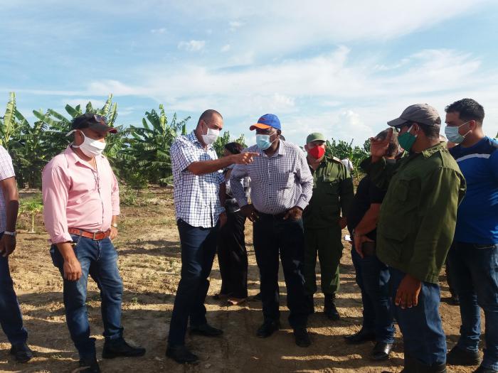 Valdés Mesa señaló que existen condiciones para que el Municipio Especial logre el autoabastecimiento local y sustituya importaciones. Foto de la autora 