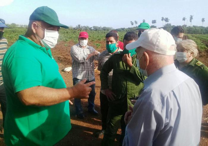 José Ramón Machado Ventura en recorrido por el sector agrícola de los municipios de Remedios y Caibarién, Villa Clara. Foto: Freddy Pérez Cabrera
