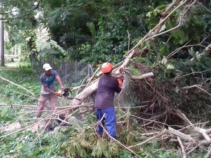 Pinar del Río después del paso de Laura