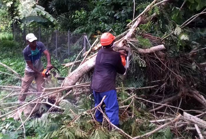 Tras el embate de Laura, los pinareños se han volcado a la recuperación