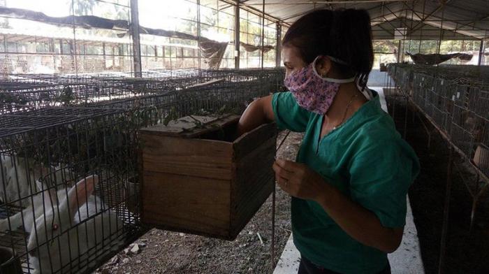 Antes de finalizar 2020, esta provincia central deberá contar con cerca de 130 módulos, con el propósito de que cada unidad diversifique las fuentes de generación de proteína. Foto: ACN
