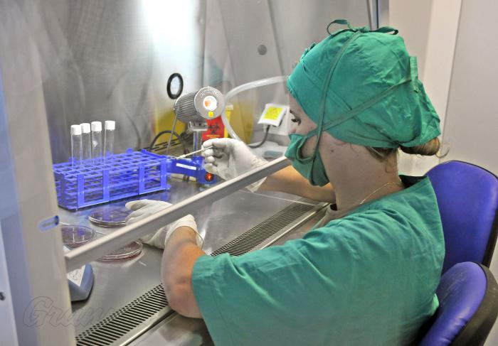 El Primer Ministro de la Repùblica de Guinea Bissau Sr Domingos Simoes Pereira es recibido en el CECMED Centro para el control de medicamentos por su director el Dr Rafael B, Pèrez Criistià