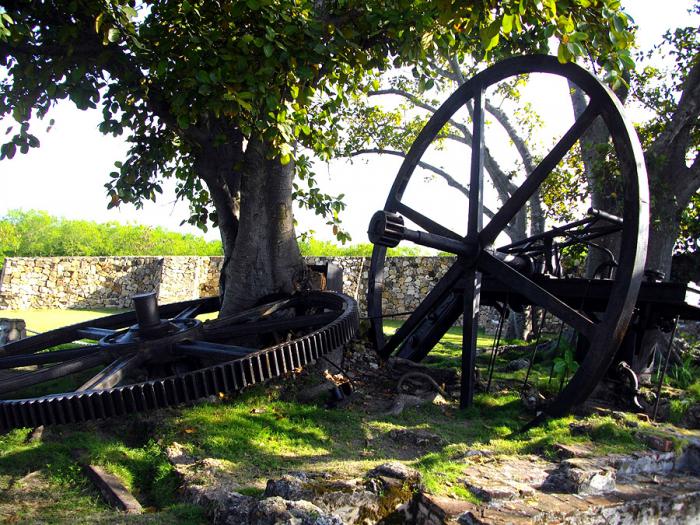 En La Demajagua, Carlos Manuel de Céspedes, el 10 de octubre de 1868, concedió la libertad a los esclavos en su plantación, y los invitó a sumarse a la lucha por la libertad de Cuba, dando inicio a nuestras guerras por la independencia. foto: pastor batista	