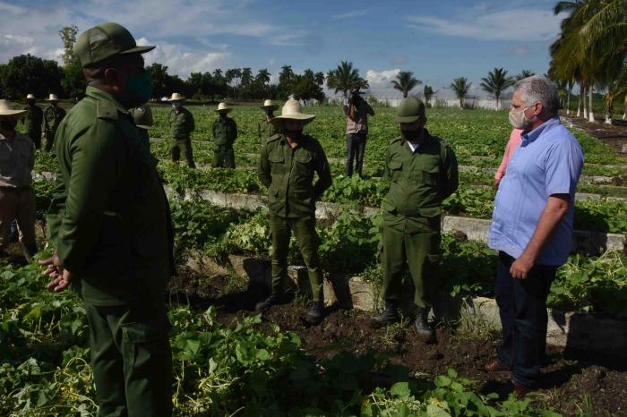 El Presidente Díaz-Canel visitó el organopónico Las Marianas, donde hoy se trabaja para devolver la vitalidad de antaño a sus áreas de cultivo e instalaciones. Foto: Estudios Revolución 
