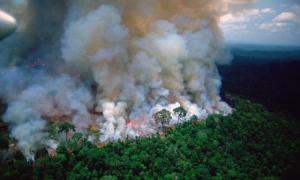 incendio