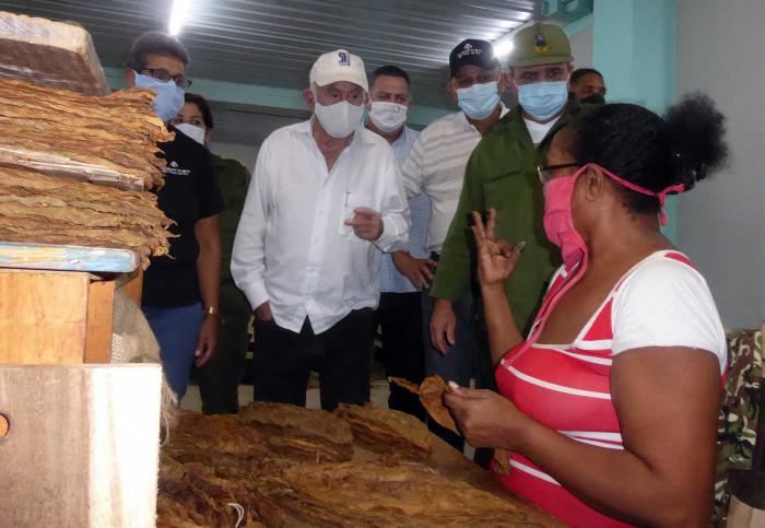 Machado Ventura se interesó por la estrategia de Vueltabajo para reponerse de los severos estragos ocasionados por las lluvias de Eta. Foto del autor 