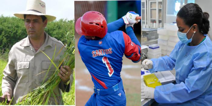 sectores cubanos