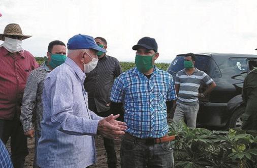 El Segundo Secretario del Partido, José Ramón Machado Ventura, ha chequeado sistemáticamente el desarrollo y las dificultades de la agricultura en todo el país

