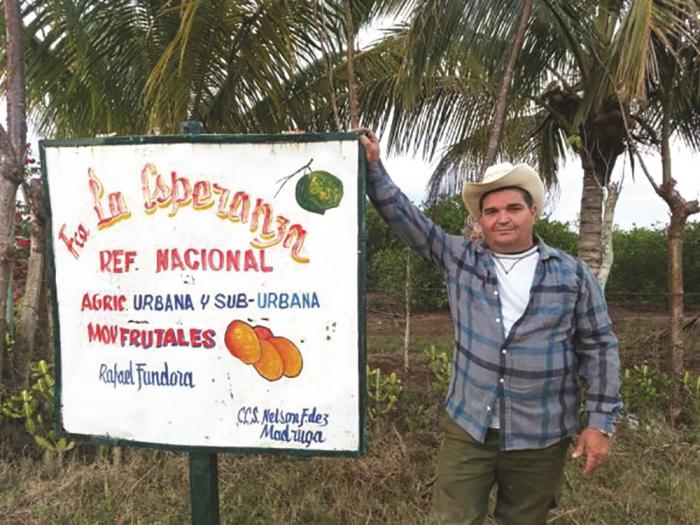 Lázaro Rafael Fundora, quien recientemente exportó algunos de sus productos a mercados de España e Italia, comentó que en su finca, además de frutales, siembran cultivos de ciclo corto.