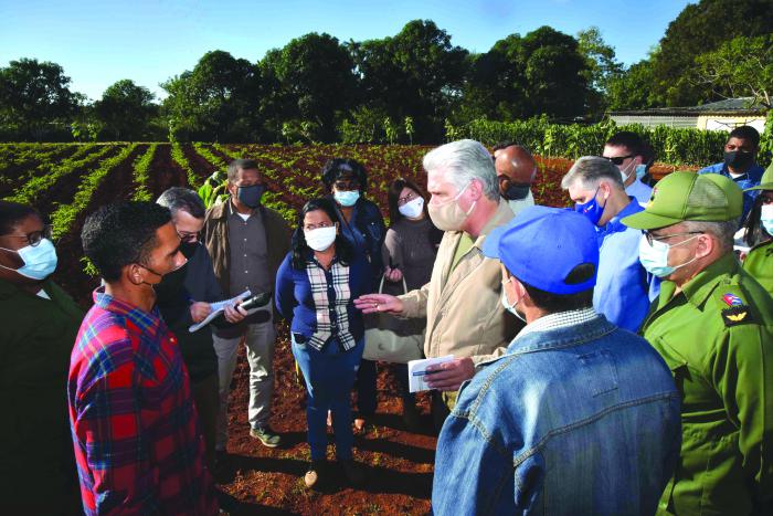 La finca de Yordanis Sánchez fue uno de los primeros lugares visitados este jueves por el mandatario cubano, como parte de la tercera visita del Consejo de Ministros a La Habana. 