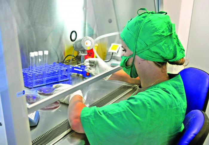 El Primer Ministr CECMED Centro para el control de medicamentos por su director el Dr Rafael B, Pèrez Criio de la Repùblica de Guinea Bissau Sr Domingos Simoes Pereira es recibido en el stià