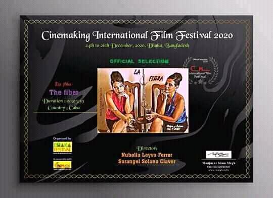 La Fibra tiene como trasfondo la iniciativa de varios artistas escénicos y escritores, de iniciarse en el cine
