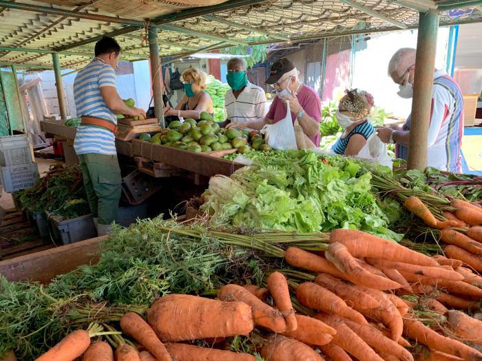 alimentos