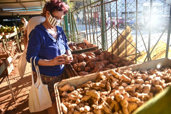 Desde que se anunció la puesta en marcha de la Tarea Ordenamiento, la subida de precios es el tema que mayor preocupación ha generado entre los cubanos. Foto: Ariel Cecilio Lemus 