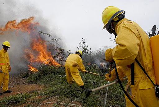 Durante 2020 se registraron 504 incendios forestales en Cuba