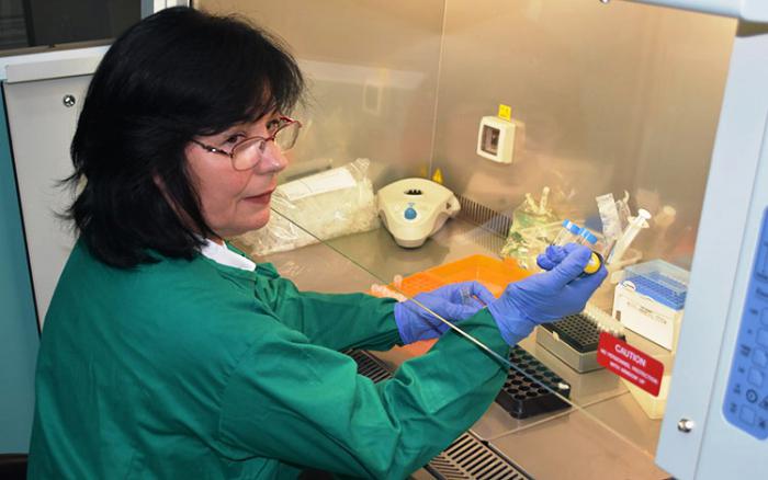 Doctora María de Lourdes Sánchez Álvarez