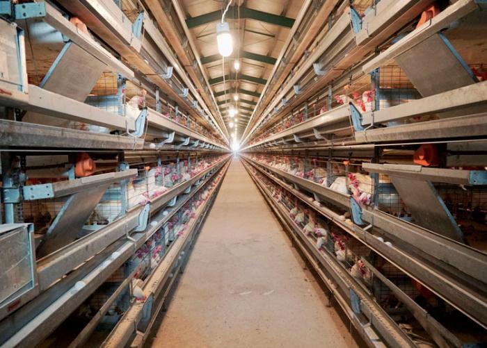 La nave automatizada cuenta con tecnología de punta de procedencia alemana.