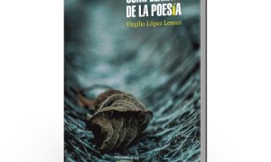libros