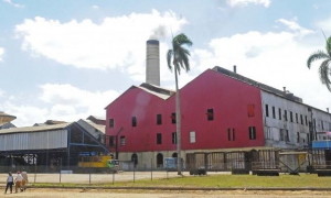 El Primero de Enero, obligada referencia en la actual zafra azucarera