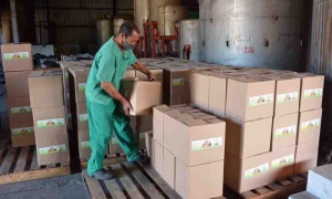 Tecnoazúcar produce alimentos a partir de alternativas locales