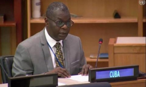 Elegida Cuba vicepresidenta del Comité Especial de Descolonización de la ONU