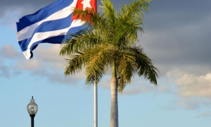 BANDERA Y PALMA