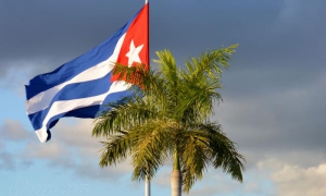 BANDERA Y PALMA