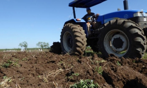 agricultura