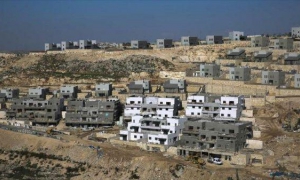 territorios ocupados palestinos 