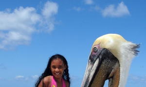 Varadero, considerado uno de los destinos turísticos más atractivos para aquello