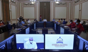Aprobó el Consejo de Estado el decreto-ley De Bienestar Animal