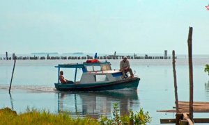 Punta Alegre, en Ciego de Ávila
