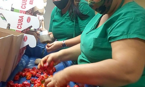 autoabastecimiento agroalimentario