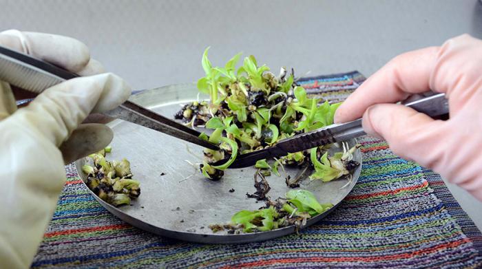 Universidad de Camagüey impulsa nuevo centro de excelencia 