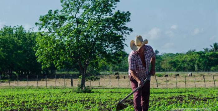 Amancio, Colombia y Jobabo son los elegidos de este territorio y de la región oriental, municipios considerados entre los 78 del país con mayor afectación en términos de intensidad de sequía agrícola durante más de 50 días al año.
