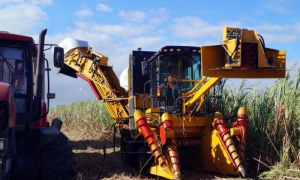 La ingeniería inversa se incorpora a un catálogo especializado en la investigaci