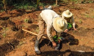 Granja Estatal Cuatro Vientos