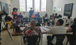 Consejo Nacional de Casas de Cultura (CNCC) y su sistema de instituciones durant